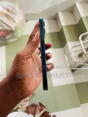 Apple iPhone 12 Pro Max 256 GB Bronze