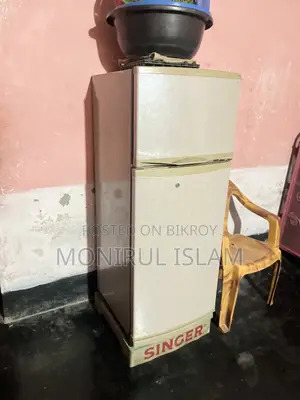 Singer Old Frize