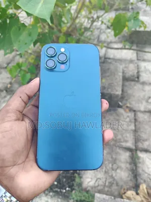 অ্যাপল আইফোন ১২ প্রো ম্যাক্স ২৫৬ জিবি নীল