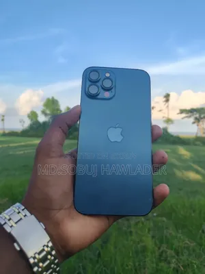 অ্যাপল আইফোন ১২ প্রো ম্যাক্স ২৫৬ জিবি নীল