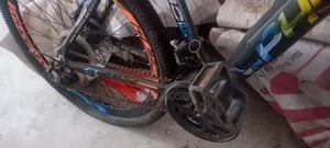 Bicycle Like New Conditions