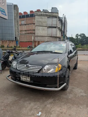 Toyota Corolla Fielder 2001 Black