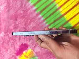 অ্যাপল আইফোন ১৩ প্রো ২৫৬ জিবি ব্লু