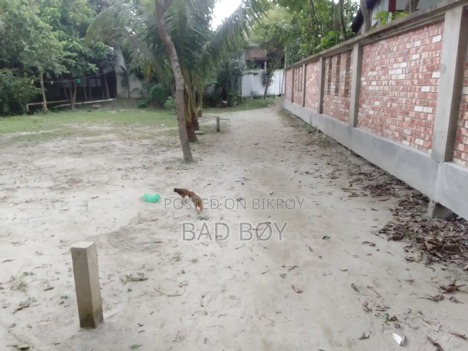 ১৫ ডেসিমেল জমি