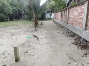 ১৫ ডেসিমেল জমি