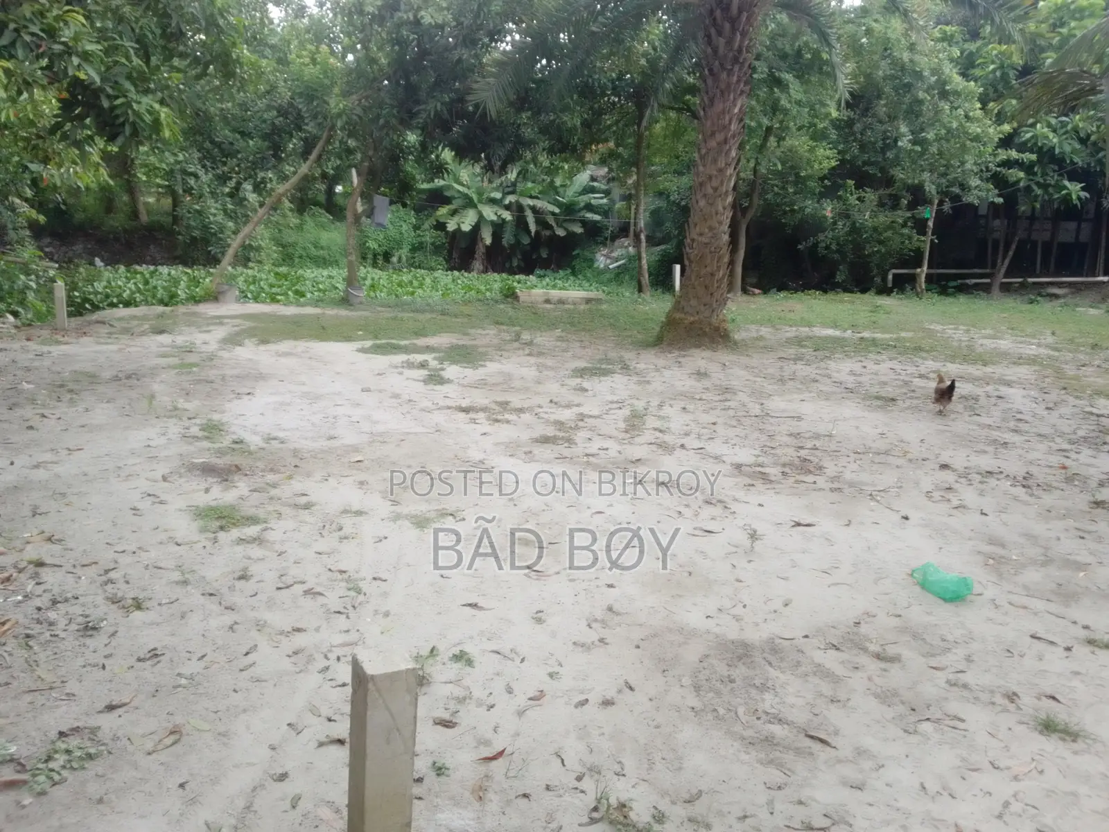 ১৫ ডেসিমেল জমি