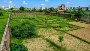 Premium Land Share In Uttara