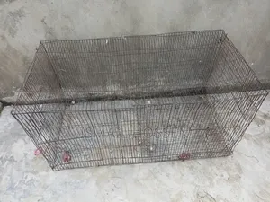 কোকাটেল পাখির খাঁচা
