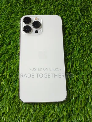 Apple iPhone 15 Pro Max 256 GB Silver