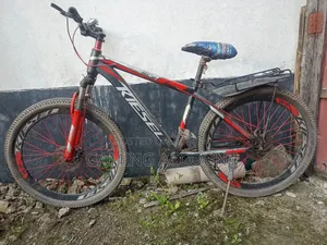 সাইকেল Cycle Kiesel Brand