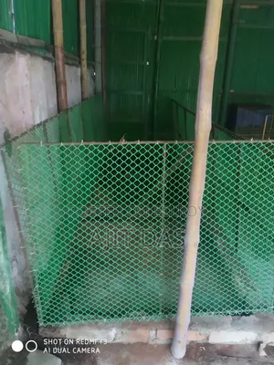 পোর্টেবল খাঁচা