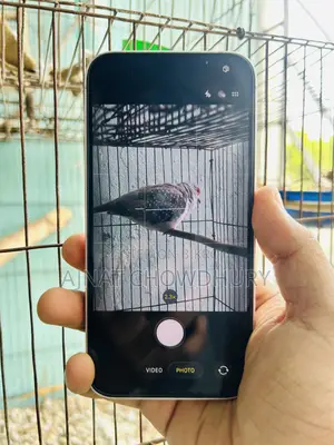 অ্যাপল আইফোন ১৩ ২৫৬ জিবি পিঙ্ক