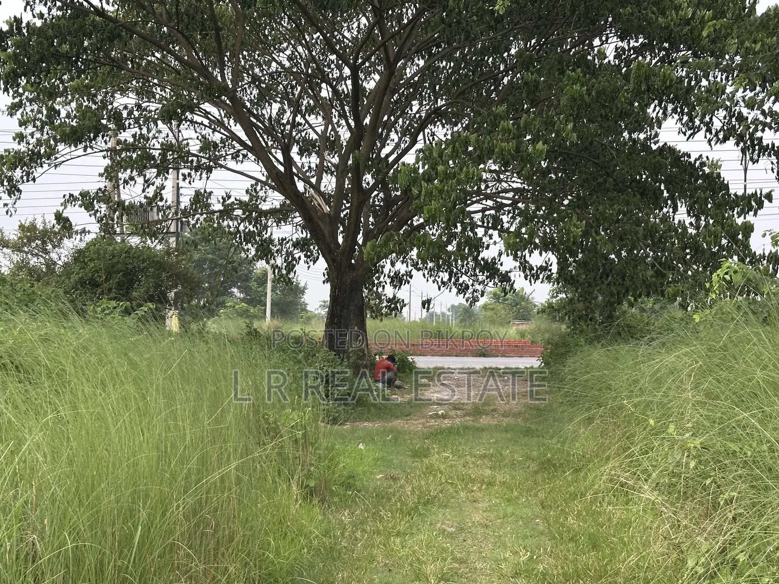 Block-N,5-Katha,South-Face Plot Urgent Sell,Bashundhara R/A