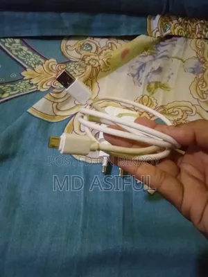 Mobile Charger