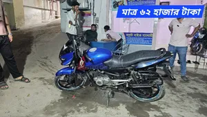 Bajaj Pulsar 150 2013 Blue