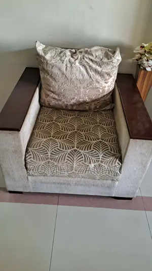 Furniture Sofa
