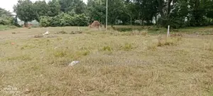 পূর্বাচল ২০ কাঠা উঁচু জমি