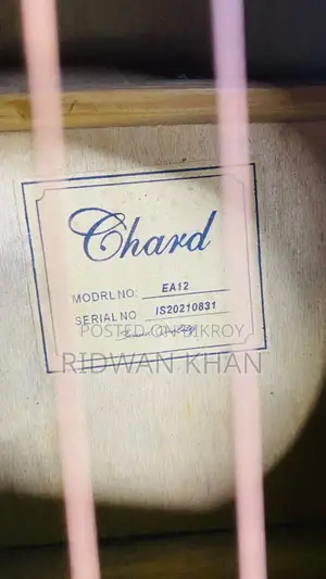 Chard Guitar