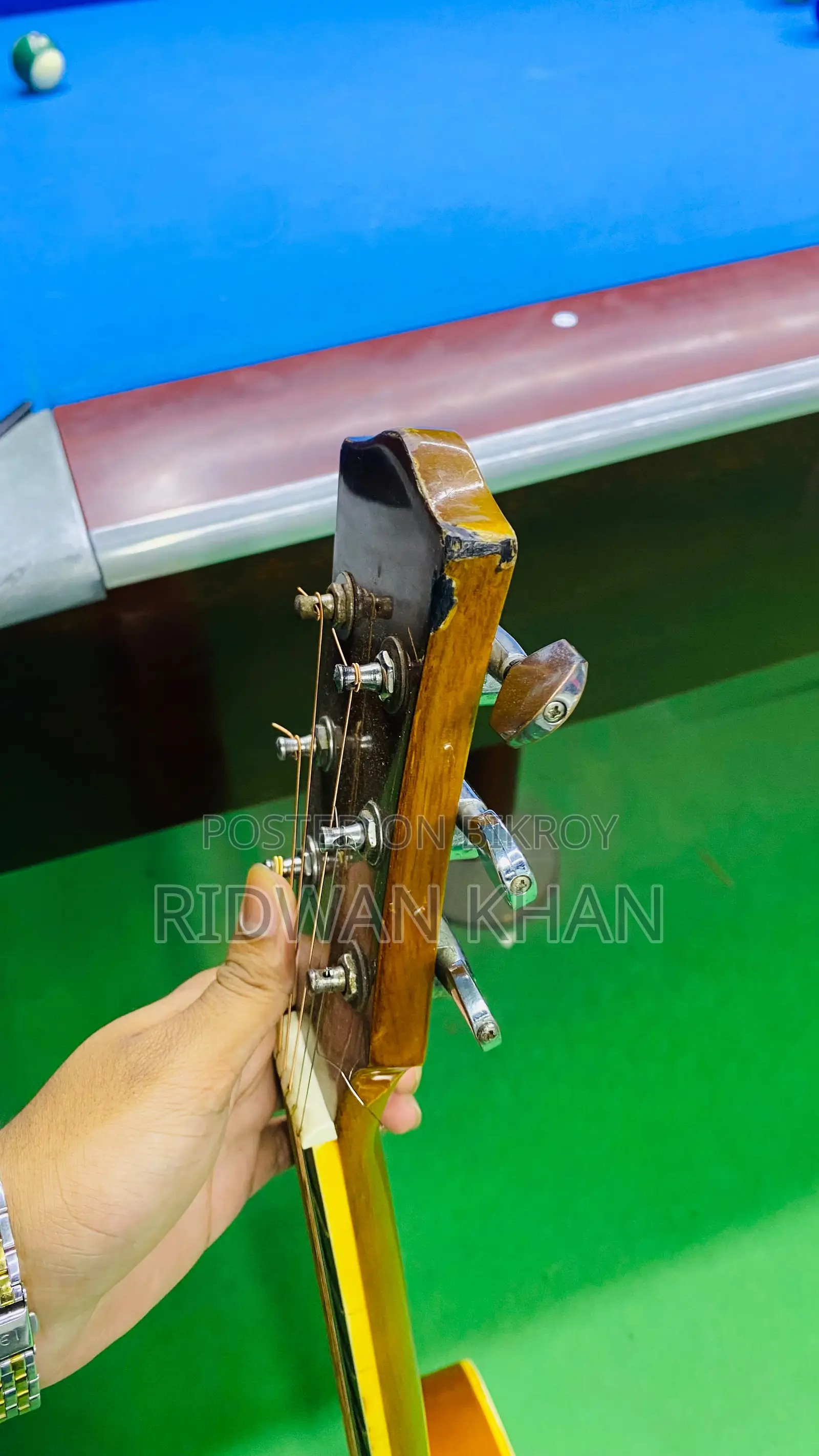 Chard Guitar