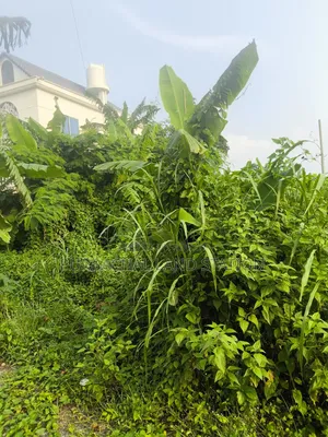 Sector: 25, Prime Location 3 Katha Plot Urgent Sale, Purbachal.
