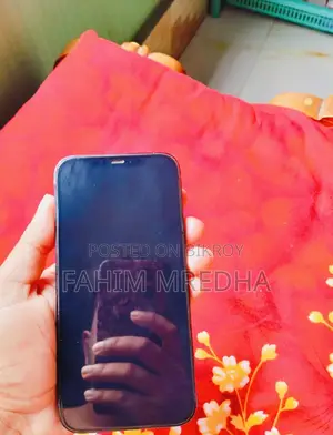অ্যাপল আইফোন ১২ প্রো ম্যাক্স ১২৮ জিবি ব্লু
