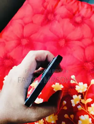 অ্যাপল আইফোন ১২ প্রো ম্যাক্স ১২৮ জিবি ব্লু