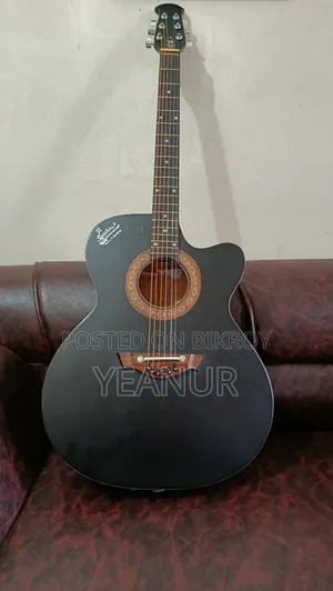 Guitar (Rogue Signature)