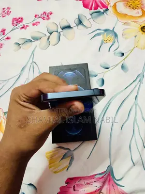 অ্যাপল আইফোন ১২ প্রো ম্যাক্স ৫১২ জিবি ব্লু