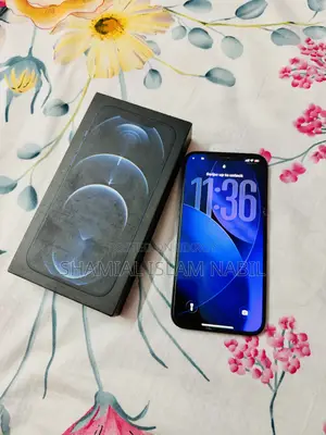 অ্যাপল আইফোন ১২ প্রো ম্যাক্স ৫১২ জিবি ব্লু