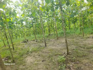 সেকোন বাগান সহ ১০০ শতক জায়গা বিক্রি করা হবে