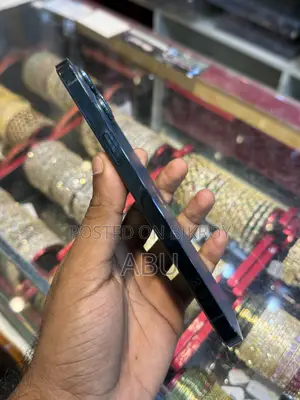 অ্যাপল আইফোন ১২ প্রো ম্যাক্স ২৫৬ জিবি ব্লু