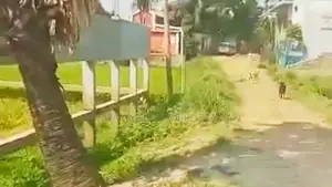 Land for sale directly from owner in Gazipur Board Bazar