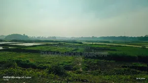 গাজীপুরে ৪১ নং ওয়ার্ডে ১০০ বিঘা জমি বিক্রি