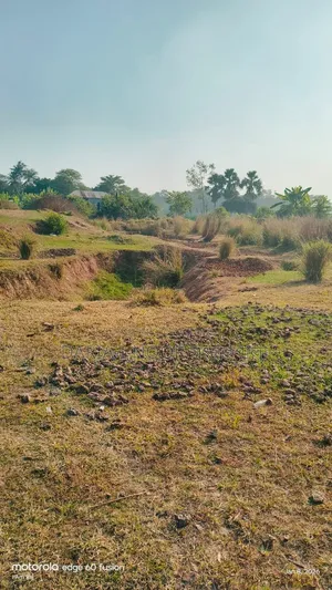 গাজীপুরে ৪১ নং ওয়ার্ডে ১০০ বিঘা জমি বিক্রি