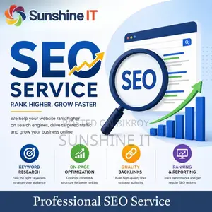 Professional SEO Service