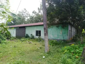 Shed for rent for factory/godown.