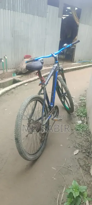 বাইসাইকেল ১০