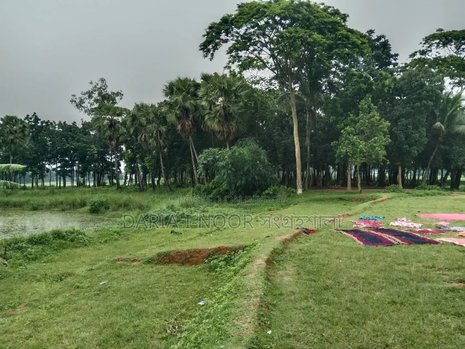 গাজিপুর সিটিতে ৪০ নং ওয়ার্ডে এক দাগে ৮ বিঘা
