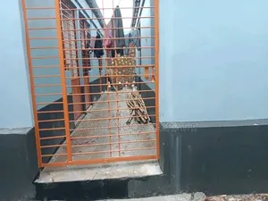 ৬ বেডরুম হাউস ইন আগস্ট ৬, গাজীপুর সদর ফর সেল