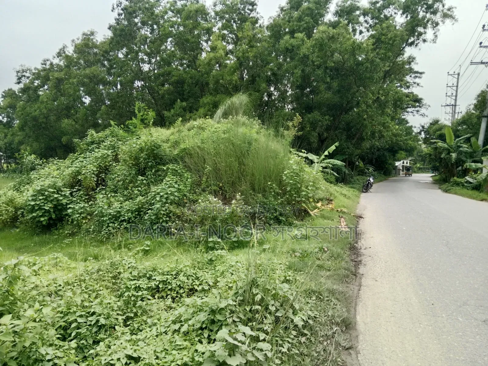 গাজীপুর ২৯ নং ওয়ার্ড এক দাগে ১২ বিঘা জমি বিক্রি