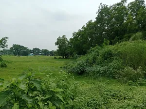 গাজীপুর ২৯ নং ওয়ার্ড এক দাগে ১২ বিঘা জমি বিক্রি
