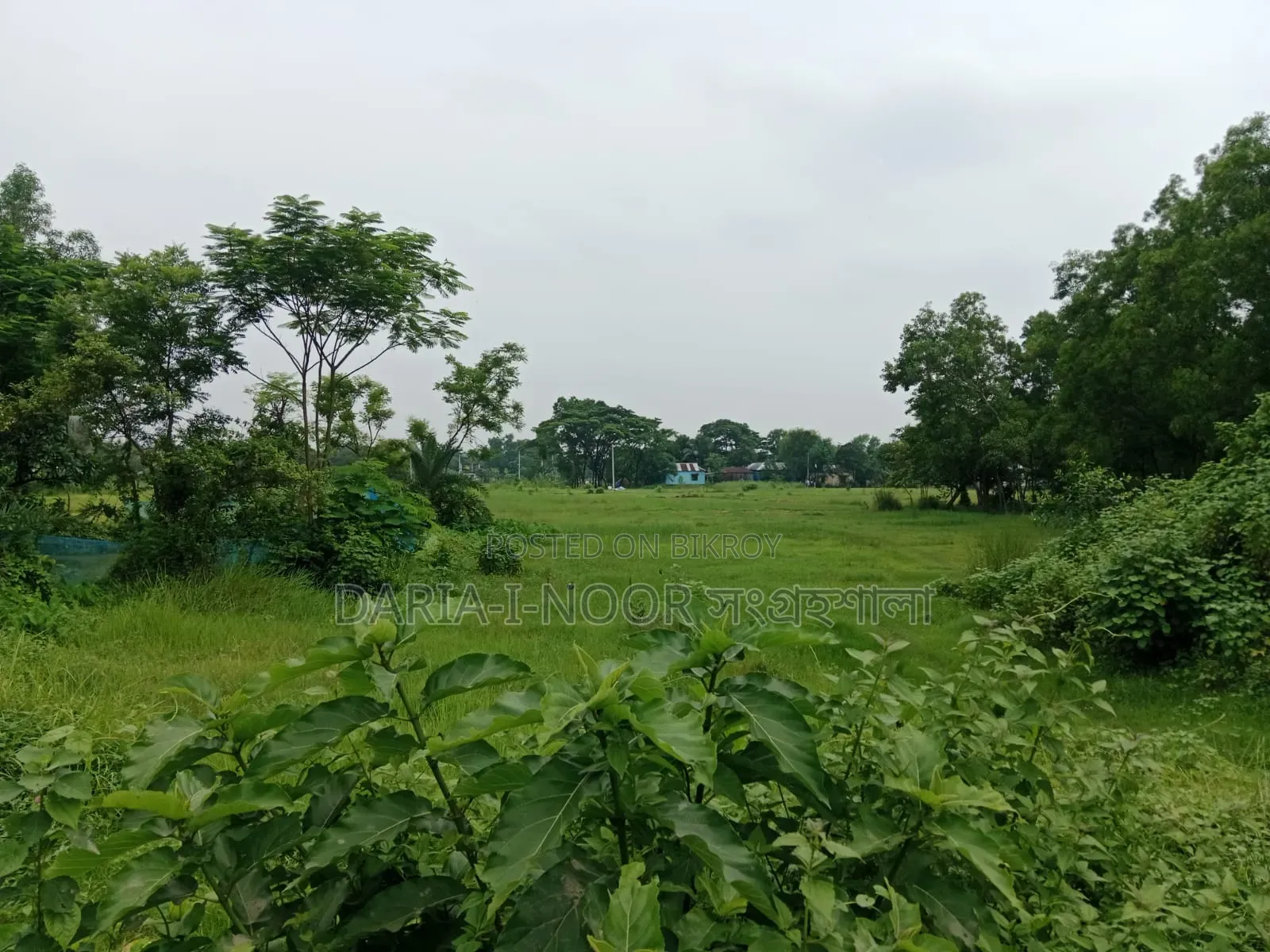 গাজীপুর ২৯ নং ওয়ার্ড এক দাগে ১২ বিঘা জমি বিক্রি