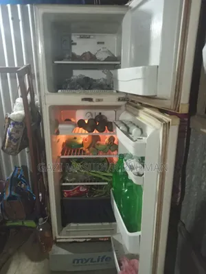 Lg Refrigerator