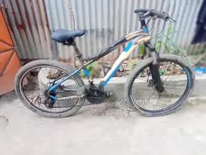 ফিনিক্স মাউন্টেন বাইক