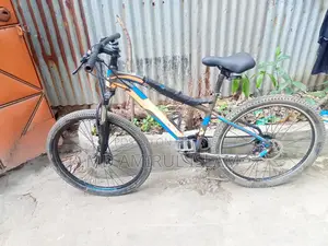 ফিনিক্স মাউন্টেন বাইক