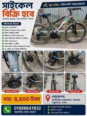 ফিনিক্স মাউন্টেন বাইক