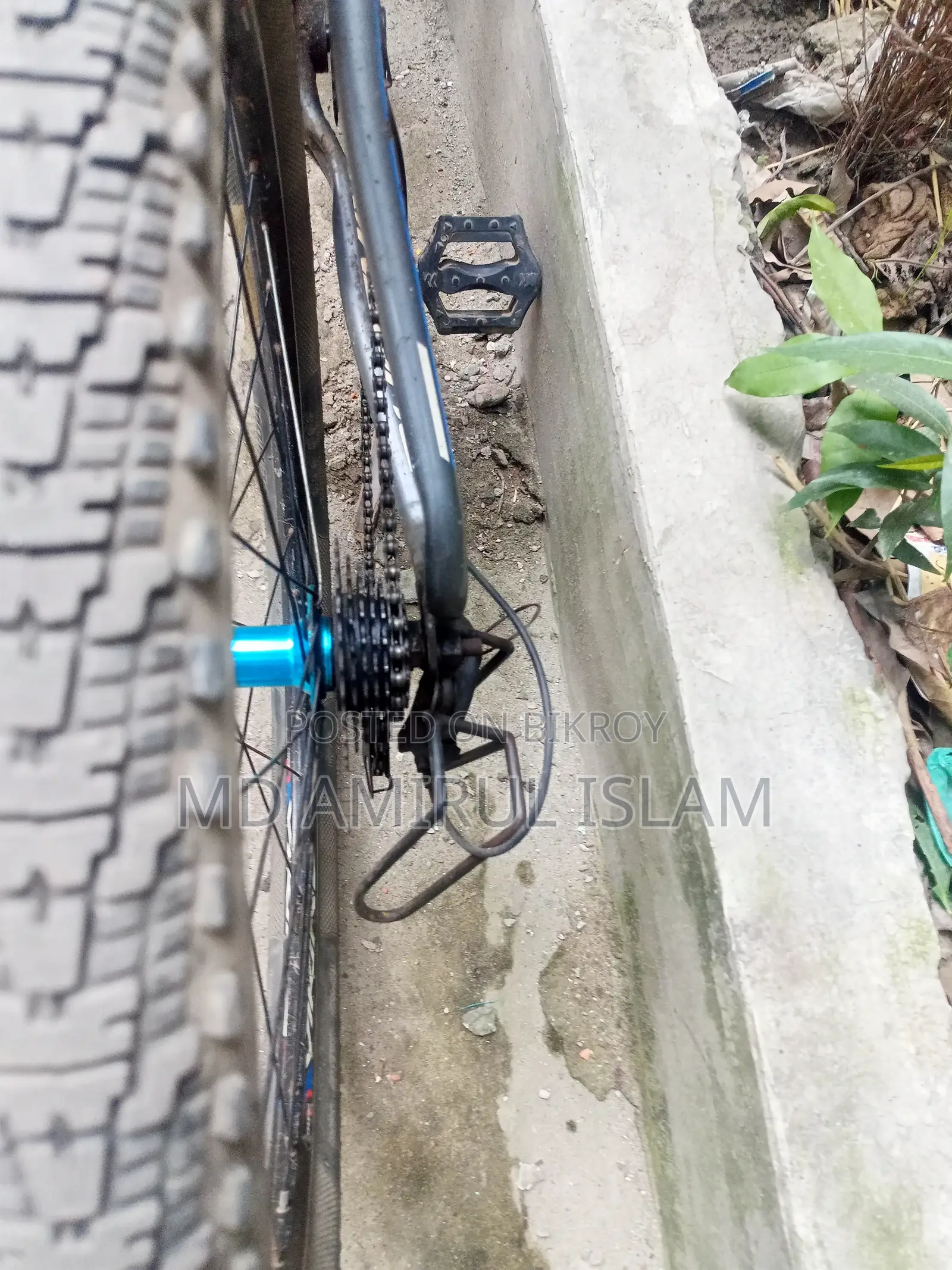 ফিনিক্স মাউন্টেন বাইক
