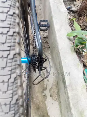 ফিনিক্স মাউন্টেন বাইক