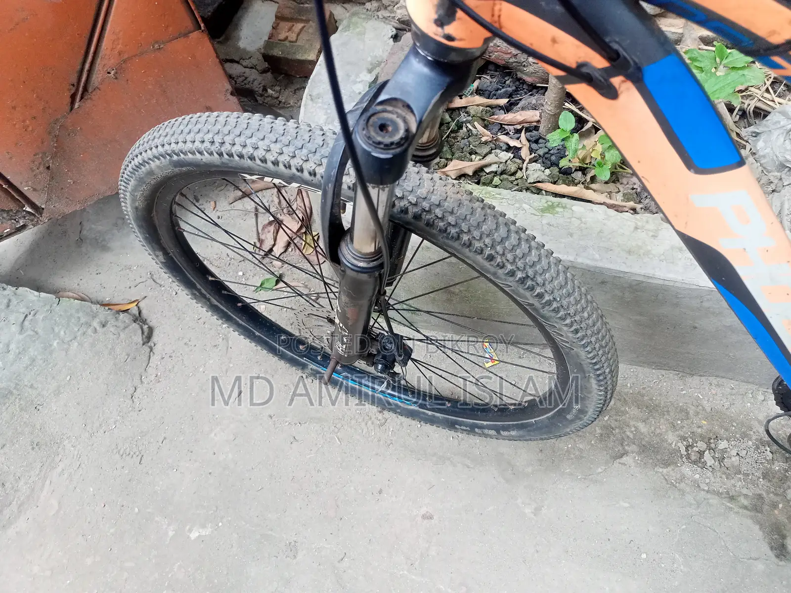 ফিনিক্স মাউন্টেন বাইক
