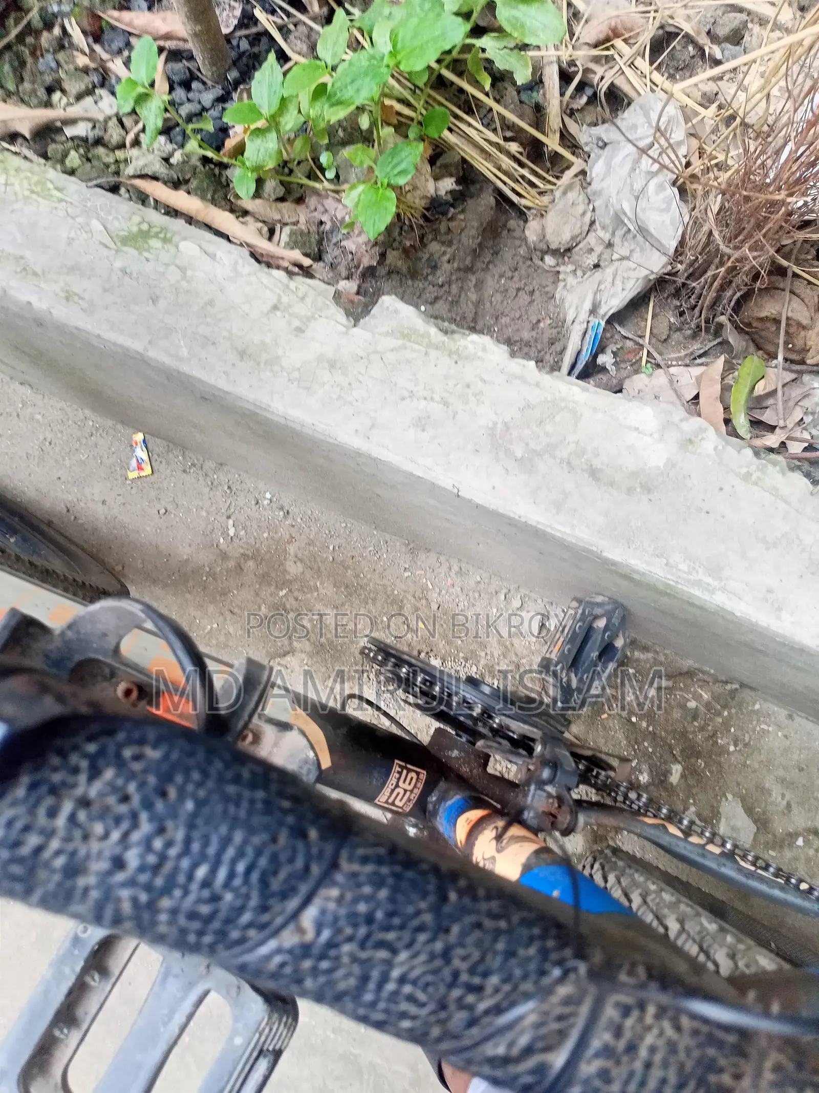 ফিনিক্স মাউন্টেন বাইক